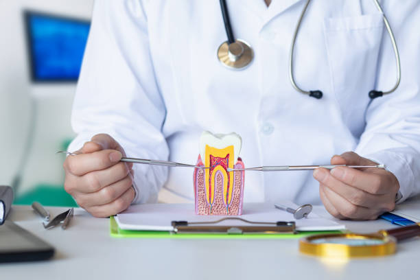 Best Emergency Broken Tooth Repair in Connersville, IN